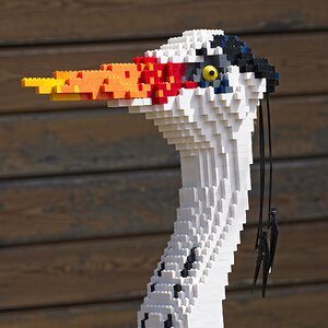 26A08877brick grey heron.jpg