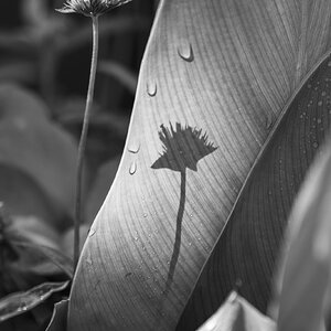 DSC02780-2-Edit.jpg