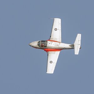 Snowbird_DSC8675.jpg