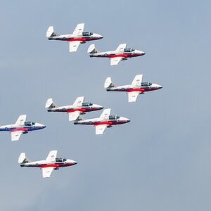 Snowbirds-27657.jpg