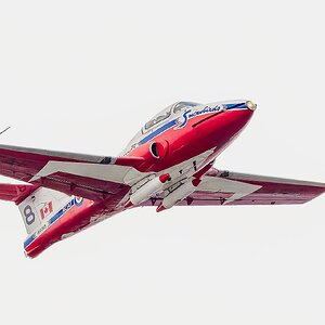 Snowbirds-27957.jpg