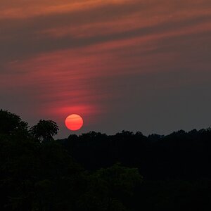 Sunset - Longwood - 08142026 - 01.jpg