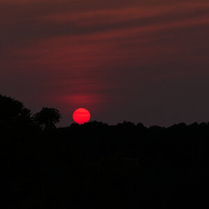 Sunset - Longwood - 08142026 - 02.jpg