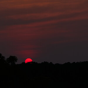 Sunset - Longwood - 08142026 - 03.jpg