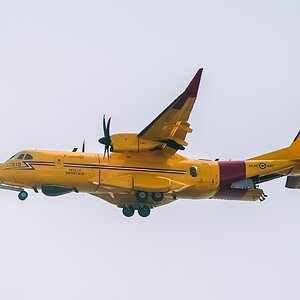 Snowbird-5941.jpg