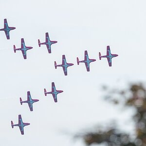 Snowbird-6555.jpg