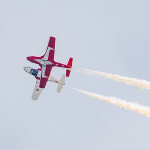 Snowbird-8776.jpg