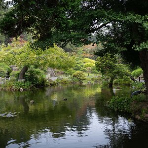 Red Pagoda with pond