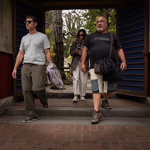 Group walking thru portal