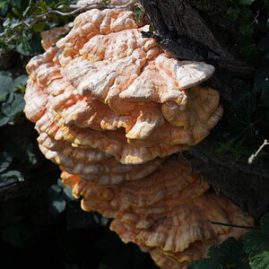 7CR01921.JPG