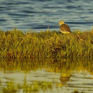_DSC4906.jpg