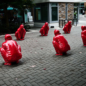 A1_03042.jpg