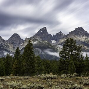 55472982130_2533422e3a_o (1).jpg