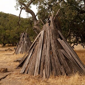Wooden lean-tos as housing for an old Indian tribe of Northern California