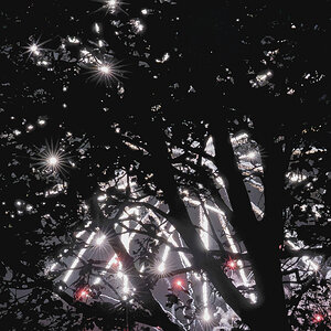 fire works-4.jpg