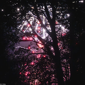 fire works-5.jpg