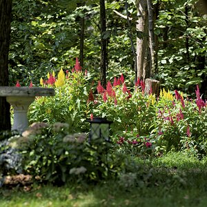 Garden.jpg