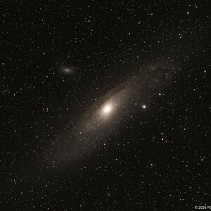 _DSC0431-Edit-2-2.jpg