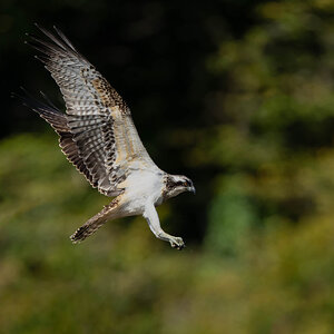 _DSC9741-Edit-Edit.jpg