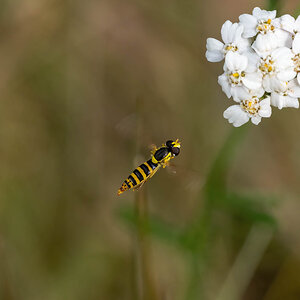 _DSC7590-Edit.jpg