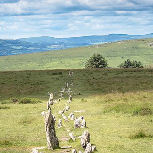 merrivale stone rows-3.jpg