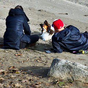 A1_05259.jpg