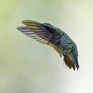 On Final Approach.jpg