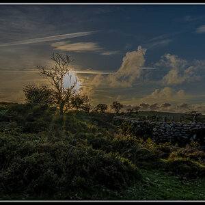 _DSC2379.jpg