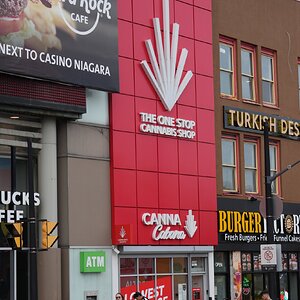 DSC06789.jpg