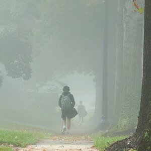 IntoTheFog.jpg