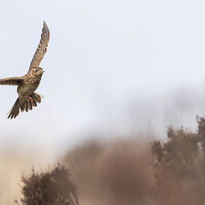 _DSC4329-Edit.jpg