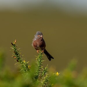 _DSC3718-Edit.jpg