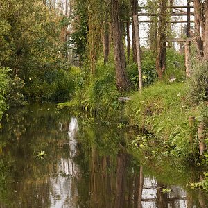 a side stream with buildings on Xochimilco