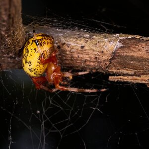 AA_03320.jpg