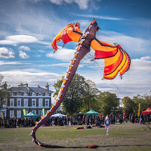 blackheath_kites-3.jpg