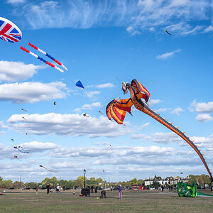 blackheath_kites-4.jpg