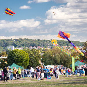 blackheath_kites-5.jpg