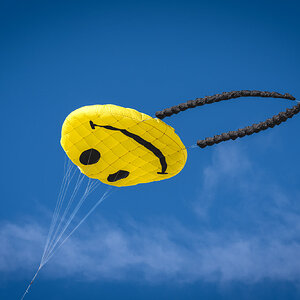 blackheath_kites-6.jpg