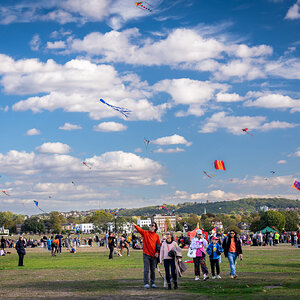 blackheath_kites-7.jpg