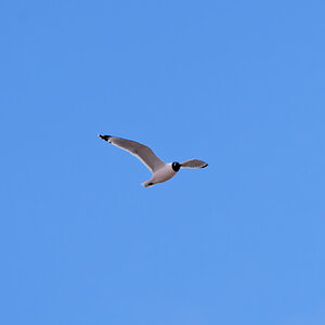 67D82D32-436C-4572-95CF-3C8618109905.jpeg