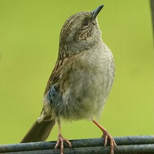 A7R4 with 100-400GM 100o