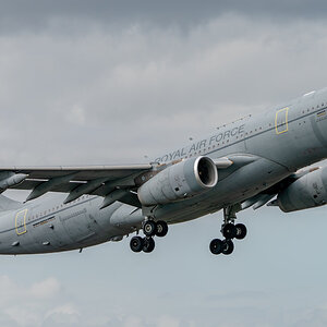 SA901220.jpg