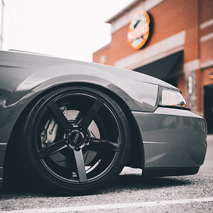 le Mustang