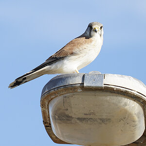 After Waste Day 7-6-21 (102).JPG