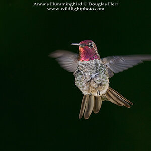 DRH04251_web.jpg