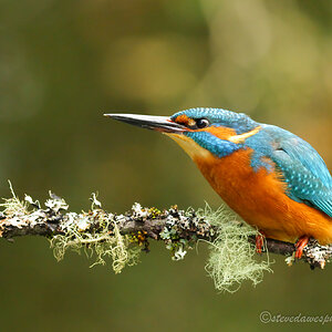 DSC05426-Edit.jpg