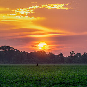 Sunrise with the Bears