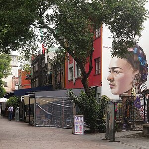 Mural of Frieda Kalo on wall in Mexico City