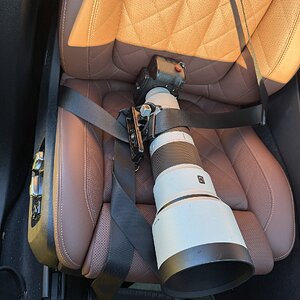 seatbelt01.jpg