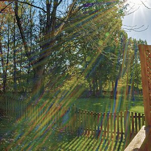 Sunshine.jpg
